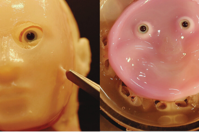 Photo Université de Tokyo et Harvard.