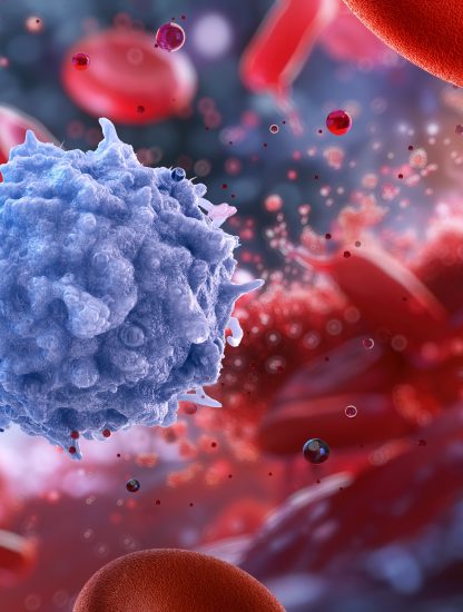 Lymphocytes.