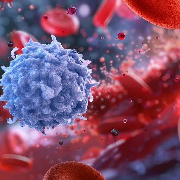 Lymphocytes.